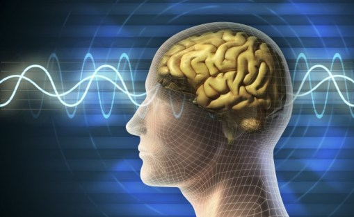 Brain-waves-650x400