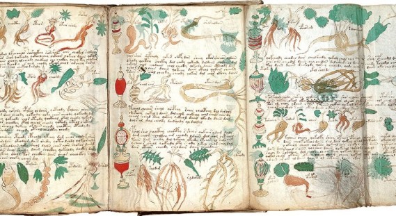 4493364_1630_codice_voynich